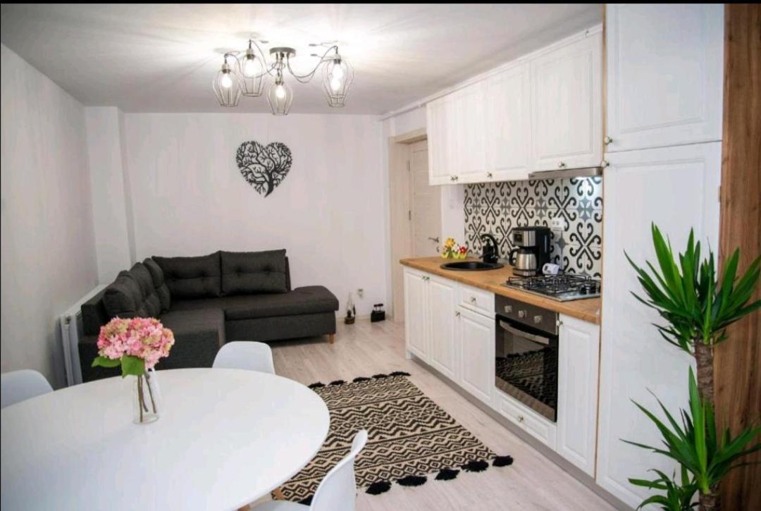 Apartament Daria ตือร์กูออกนา ภายนอก รูปภาพ